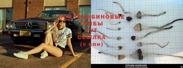 мескалин Медногорск