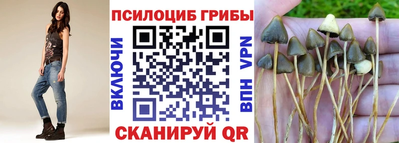 MEGA зеркало  Брюховецкая  Галлюциногенные грибы Psilocybe 